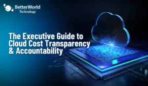 The Executive Guide to Cloud Cost Transparency and Accountability | BetterWorld Technology
