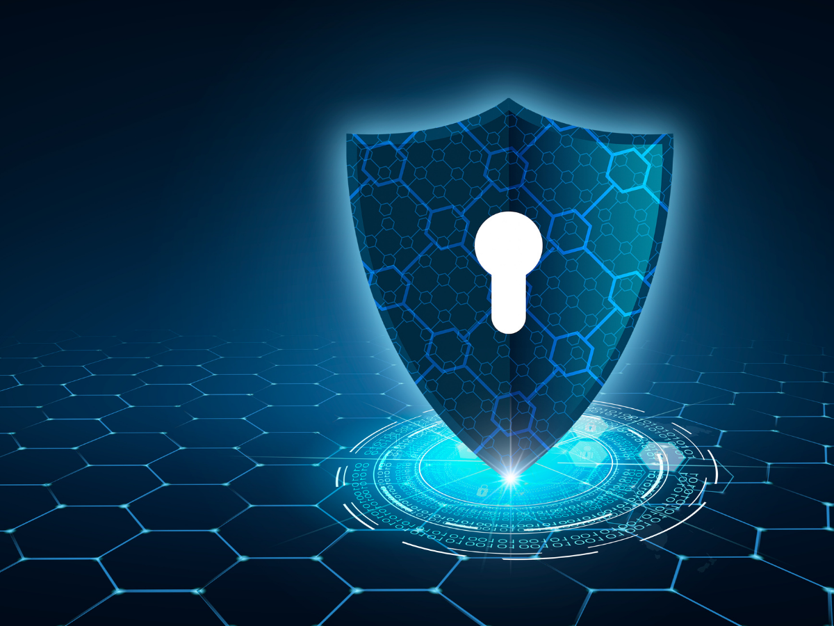 Penetration Testing